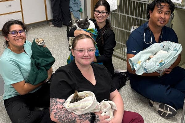 Companion Animal Clinic team member providing pet care in Yakima, Washington
