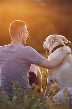 Compassionate veterinary team supporting a family during a pet end-of-life decision
