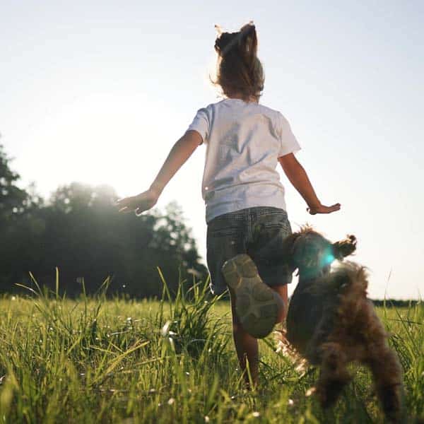 Compassionate end-of-life pet care provided at Companion Animal Clinic in Yakima, WA