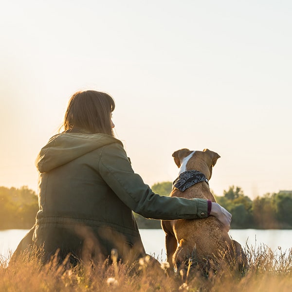 Veterinarian providing gentle end-of-life care for a pet in a comforting environment