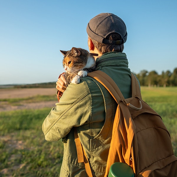 Private, peaceful room for humane pet euthanasia services at Companion Animal Clinic